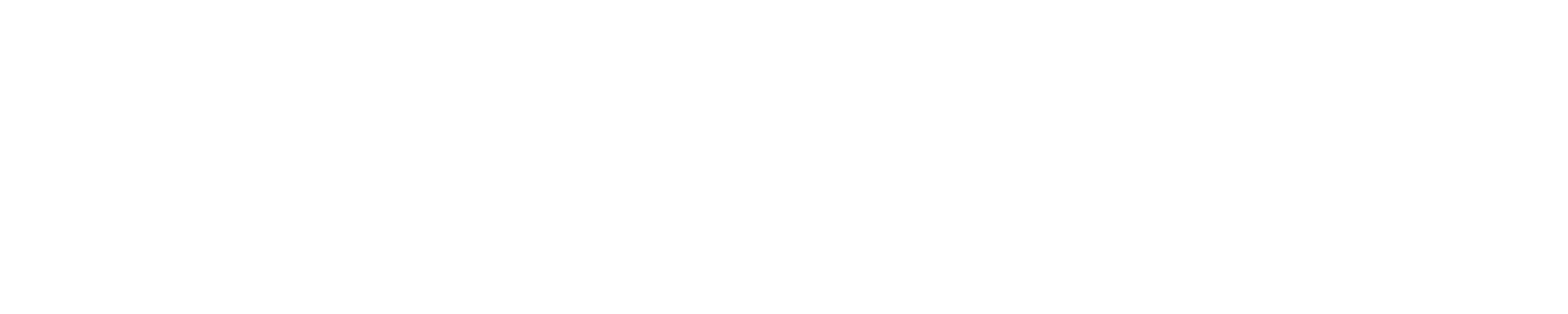 Cargosnap Logo